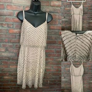 Adrianna Papell silver sequin champagne short dress size 10